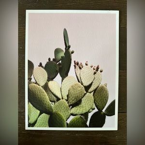 Cacti Fine Art Print